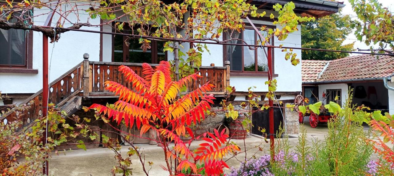 Hotel Babinata Kashta-Srebarna à Srebŭrna Extérieur photo