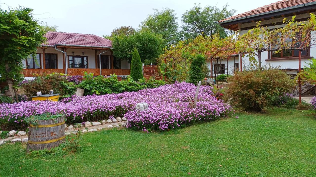 Hotel Babinata Kashta-Srebarna à Srebŭrna Extérieur photo