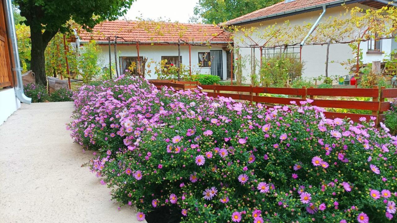 Hotel Babinata Kashta-Srebarna à Srebŭrna Extérieur photo