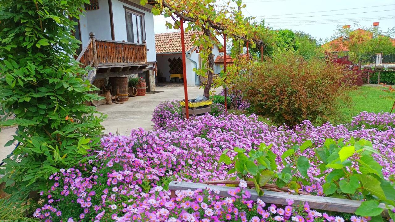 Hotel Babinata Kashta-Srebarna à Srebŭrna Extérieur photo