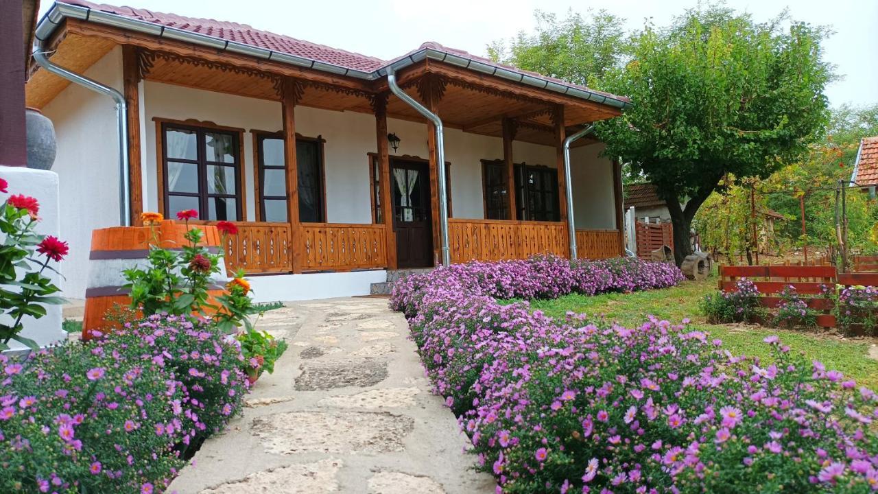 Hotel Babinata Kashta-Srebarna à Srebŭrna Extérieur photo