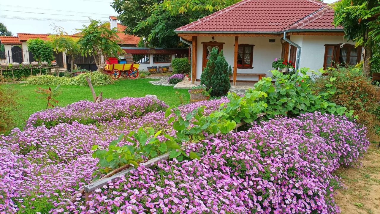 Hotel Babinata Kashta-Srebarna à Srebŭrna Extérieur photo