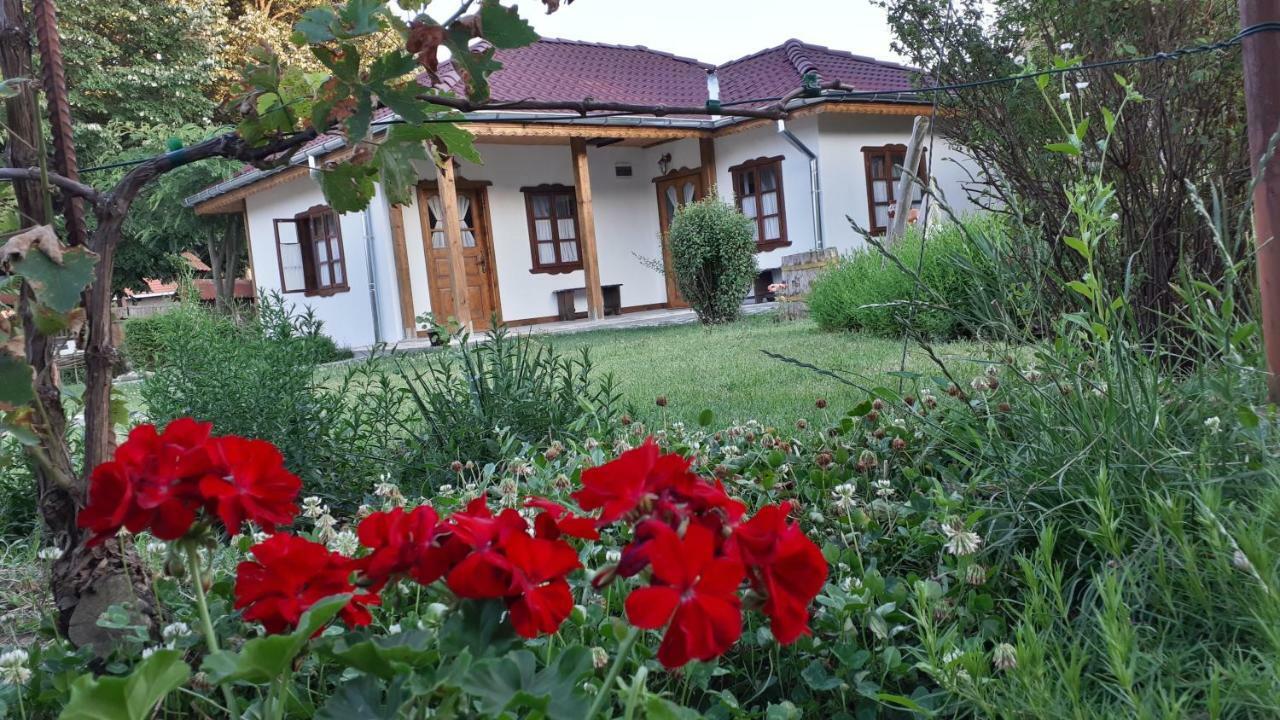 Hotel Babinata Kashta-Srebarna à Srebŭrna Extérieur photo